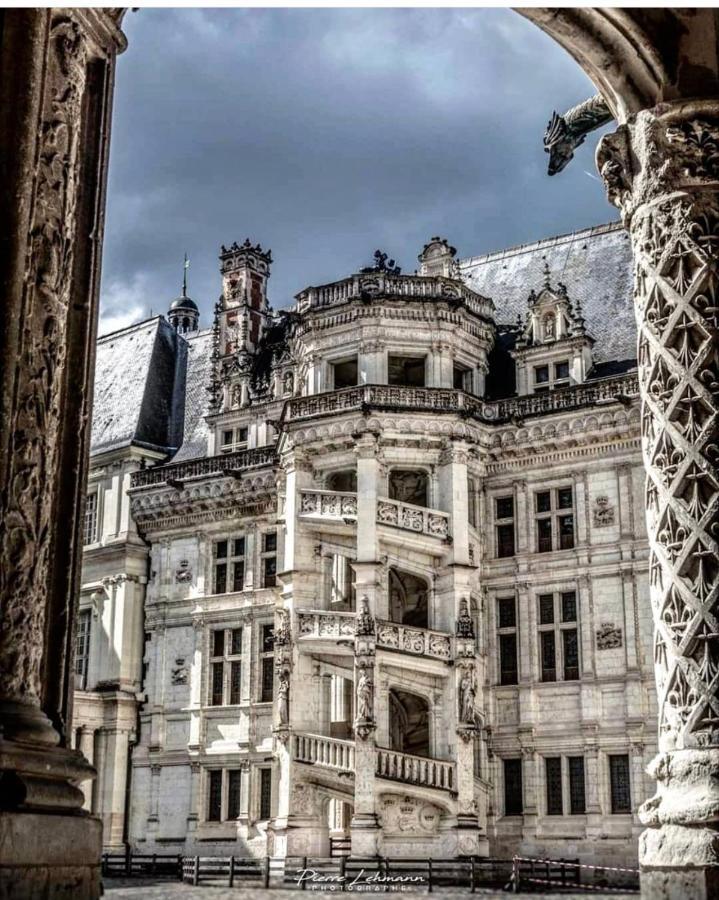 Appartement Porte Chartraine Blois Exterior photo